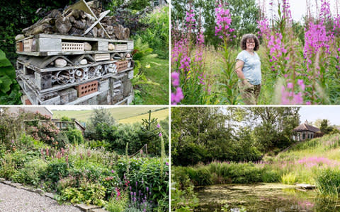 Helen Rushton - Credit: BBC Gardener's World Magazine