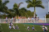 Fans sit in social distance squares during a spring training baseball game with the Minnesota Twins and Boston Red Sox on Sunday, Feb. 28, 2021, in Fort Myers, Fla. (AP Photo/Brynn Anderson)