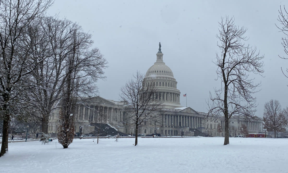 This is a photo of it snowing at the Capitol building in Washington D.C.