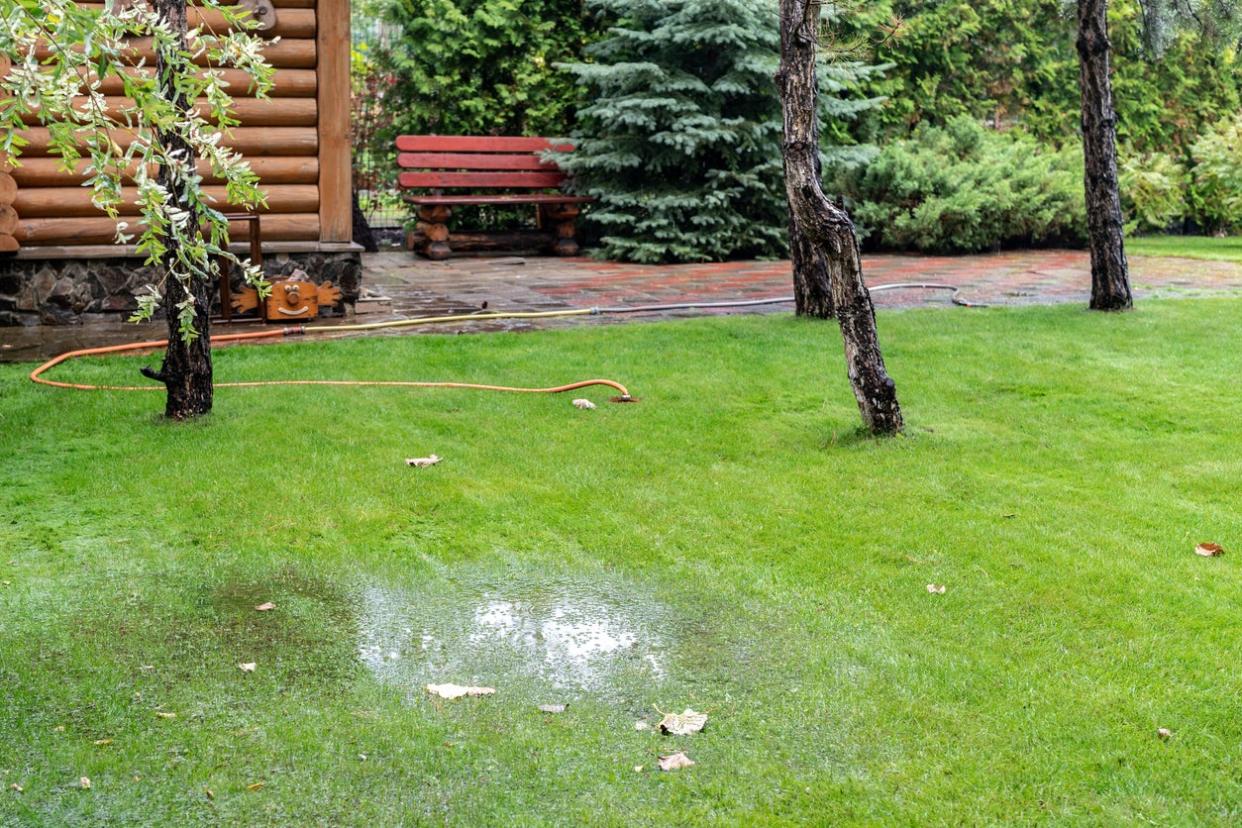 Garden bushes, tree and green grass lawn covered with water due to snow melting thaw and flash high water at spring. Natural disaster deluge flooded house backyard pathway ang greenery at countryside