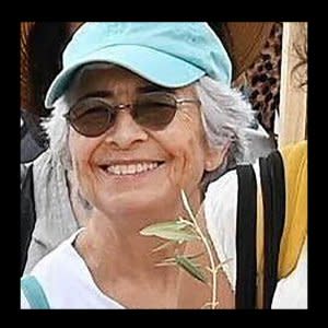 Missing: Vivian Silver<span class="copyright">Courtesy of Women Wage Peace</span>