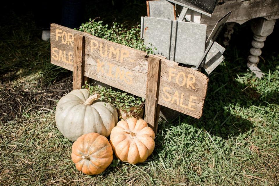 A Peek Inside the 2015 Country Living Fair in Columbus, Ohio