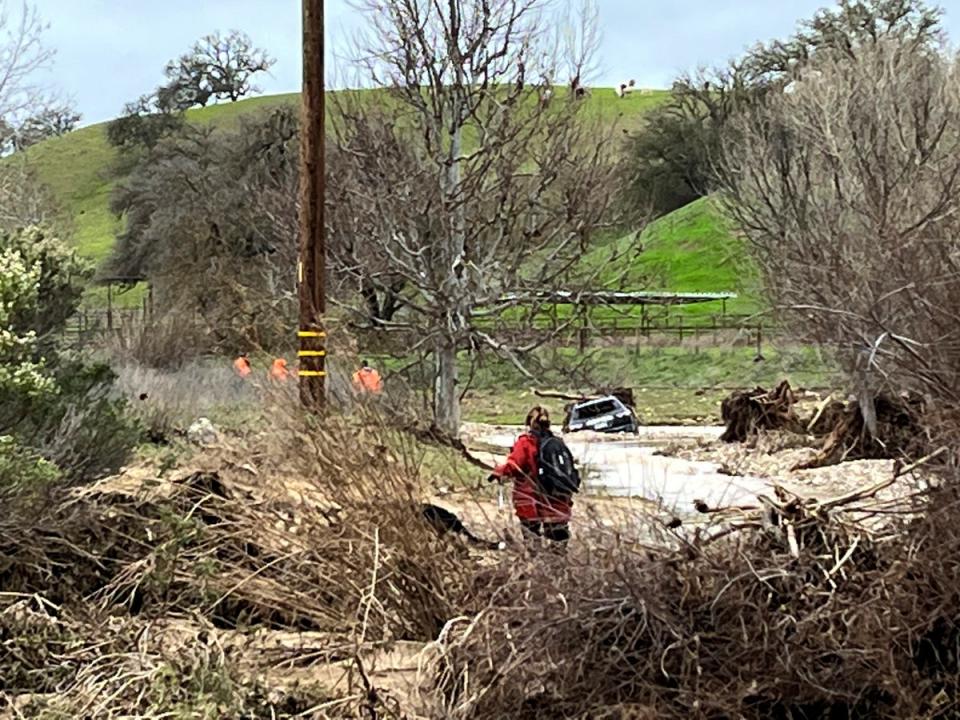 California Storms Missing Boy (Neil Collins)