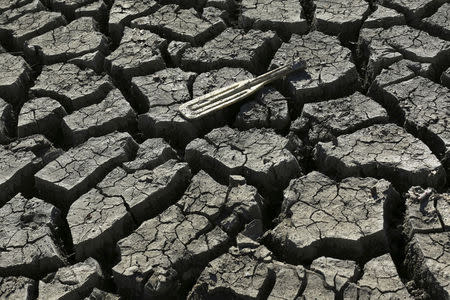 A boat paddle is shown on the bottom of the nearly dry Almaden Reservoir near San Jose, California January 21, 2014. REUTERS/Robert Galbraith