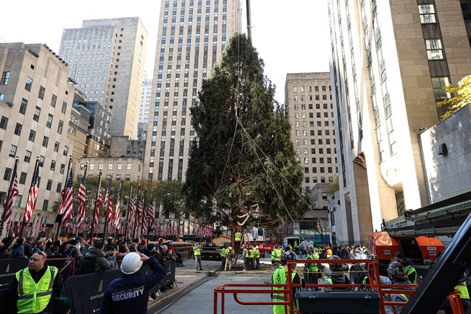 The 2023 Rockefeller Center Christmas tree