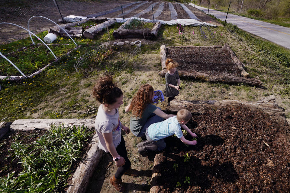 Ellie Holden plants seedlings with her children Soraya, Jack and Isa, from left, in the garden and farmland of their home, Thursday, May 12, 2022, in Proctor, Vt. After fleeing one of the most destructive fires in California, the Holden family wanted to find a place that had not been so severely affected by climate change and chose Vermont. (AP Photo/Charles Krupa)