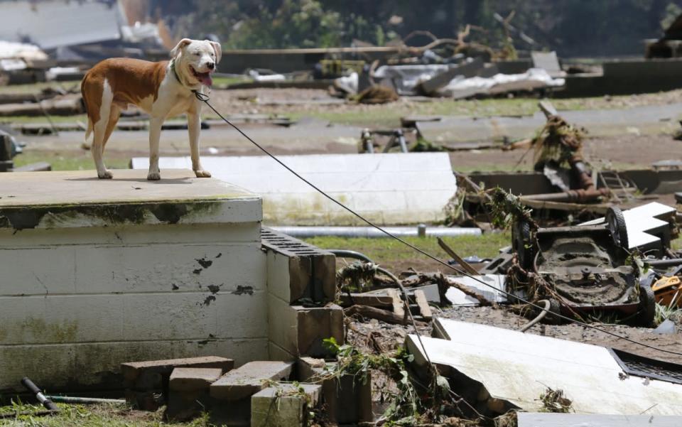 Flooding devastates parts of West Virginia