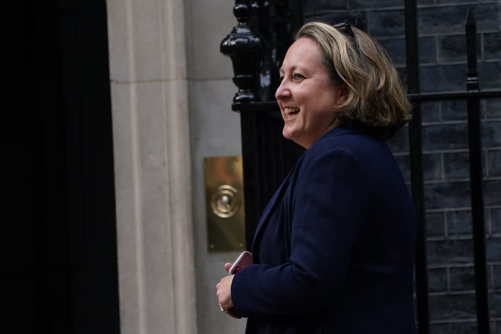 Anne-Marie Trevelyan (Victoria Jones/PA) (PA Wire)