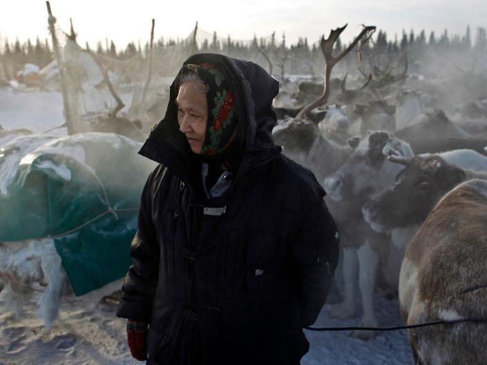 Nenetų čiabuvių moteris žieminiais paltais stovi su šiaurės elnių banda Rusijos tundroje