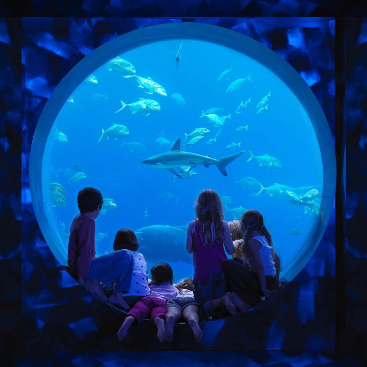 Kids will be in their element at the hotel’s giant indoor aquarium (Atlantis, The Palm)