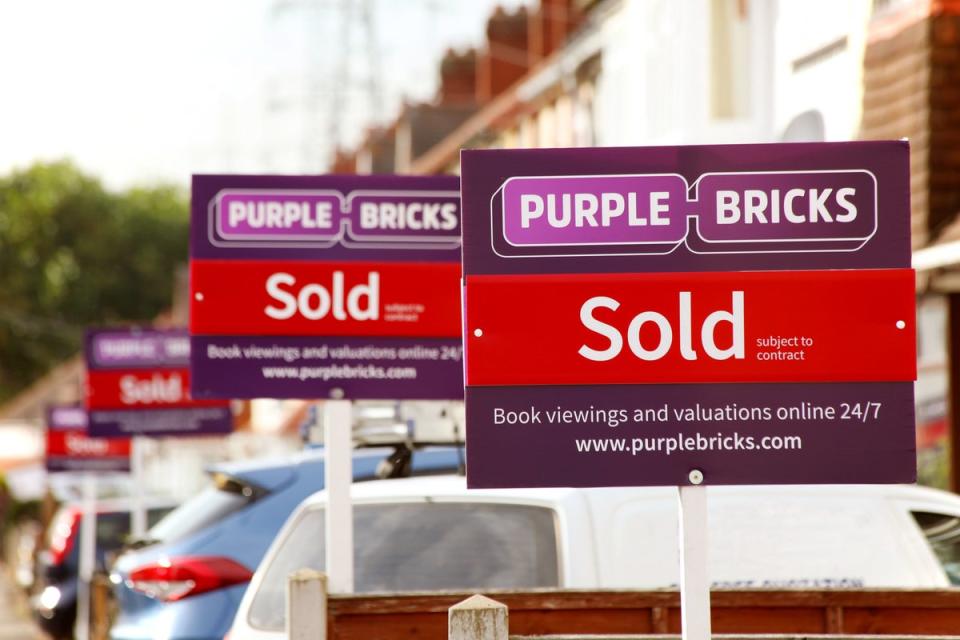 An activist investor has built up a 4% stake in embattled online estate agent Purplebricks and is calling for the chairman to resign after the group’s share price plummeted (Purplebricks/PA) (PA Media)