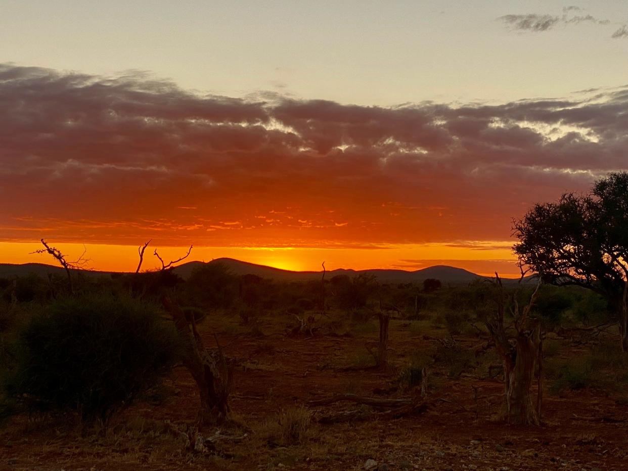 A game reserve at sunrise.