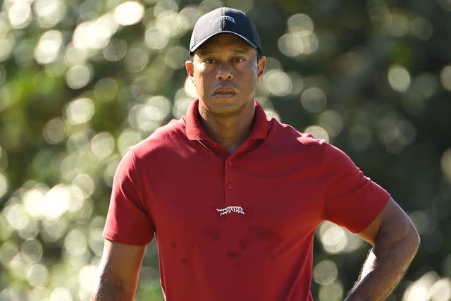 <p>Ben Jared/PGA TOUR via Getty</p> Tiger Woods