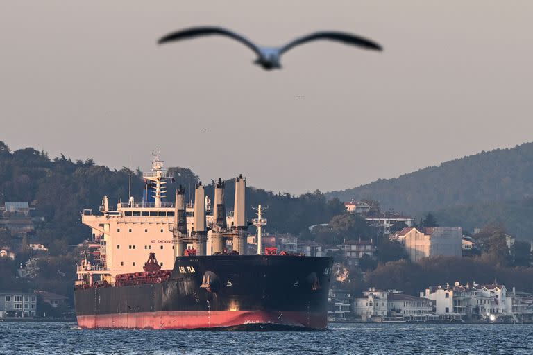 El barco de carga Asl Tia, que transporta granos ucranianos, navega por el Bósforo hacia el mar de Mármara, en Estambul, el 2 de noviembre de 2022. 
