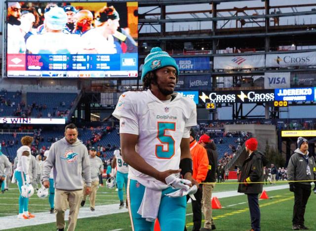 The Curse of the Miami Dolphins: Why it's real — and all the ways it is  back in full force