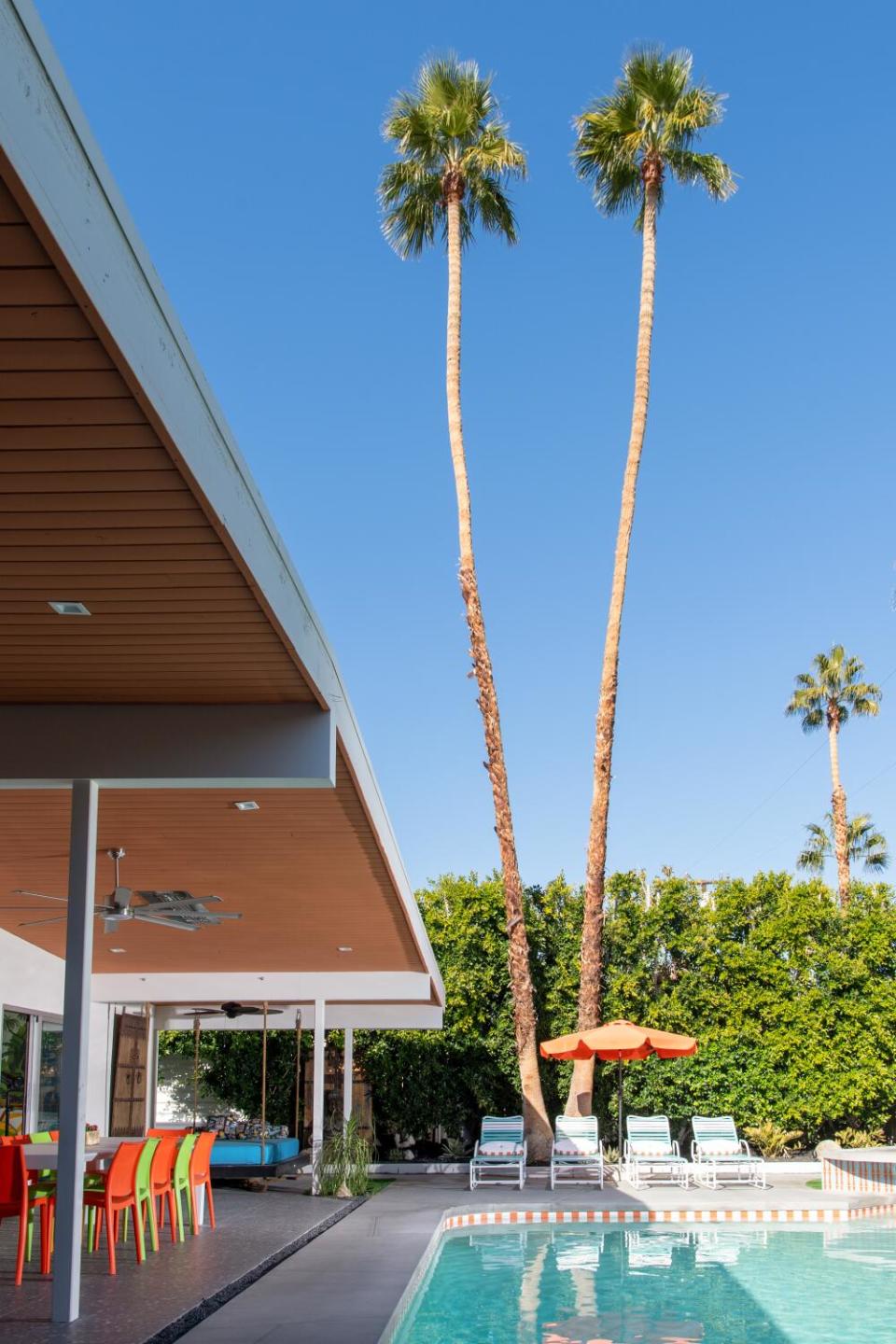 A pair of palm trees towers over a pool in the backyard of a house.