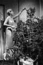 <p>Kim Novak looks nearly identical to the tinsel she's decorating her Christmas tree with in a sleeveless fringe dress.</p>