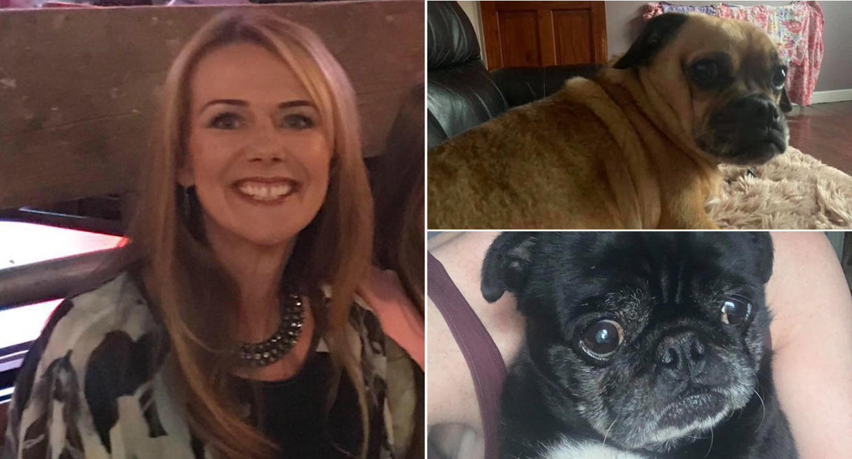 Police are investigating after a number of dogs went missing while in the care of professional dog walker Louise Lawford 