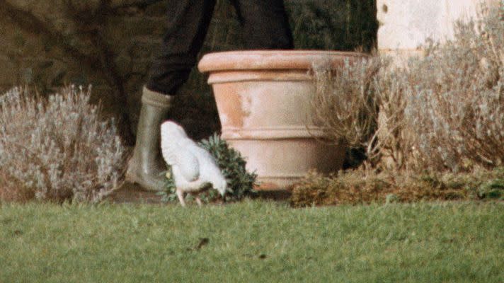 camilla parker bowles à corsham