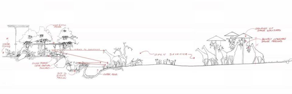 A schematic shows part of the layout for a potential zoo in Elk Grove. City leaders on Wednesday received an update on the plan to possibly relocate the Sacramento Zoo in Land Park to a larger site at Lotz Parkway and Kammerer Road in Elk Grove.