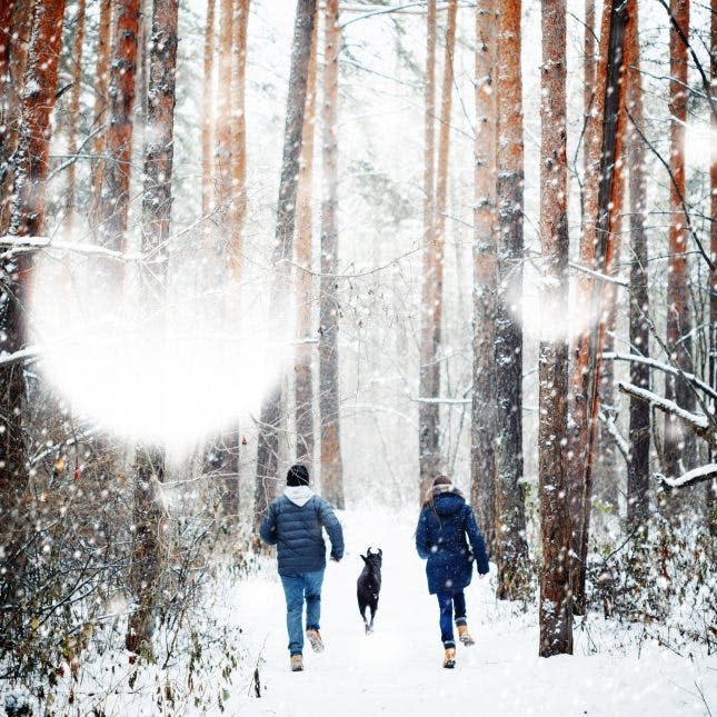 couple with dog in winter forest