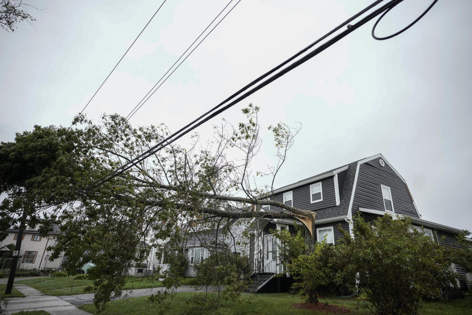 <p>A tree rests against power lines after post-tropical storm Fiona hit on Sept. 24, 2022 in Sydney, N.S. Formerly Hurricane Fiona, the storm is one of the strongest Atlantic Canada has seen in years. (Photo by Drew Angerer/Getty Images)</p> 