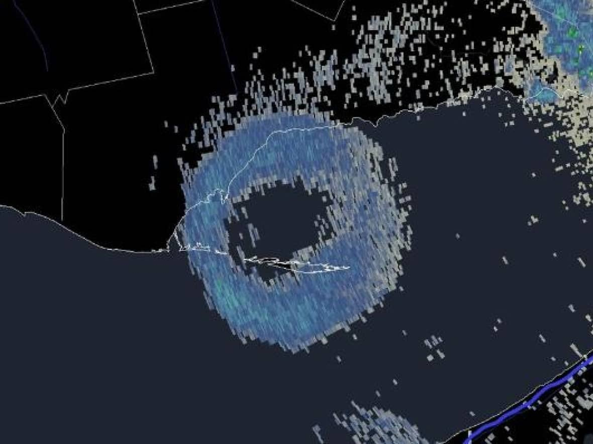 A National Weather Service image taken at a U.S. radar station in Buffalo, N.Y., on Sunday shows what looks like a giant doughnut over Long Point in Ontario. Bird experts say the ring is actually made up of up to 500,000 swallows congregating in the marshes.  (Twitter - image credit)