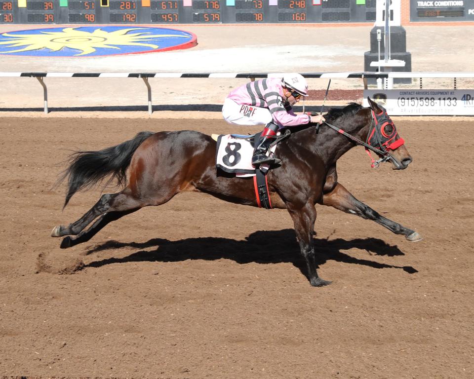 Delight Interest is one of the favorites to win the All American Derby on Sunday at Ruidoso Downs Race Track and Casino.