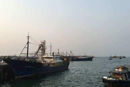 Fishing boats are seen at a harbour in Baimajing, Hainan province, April 7, 2016. REUTERS/Megha Rajagopalan