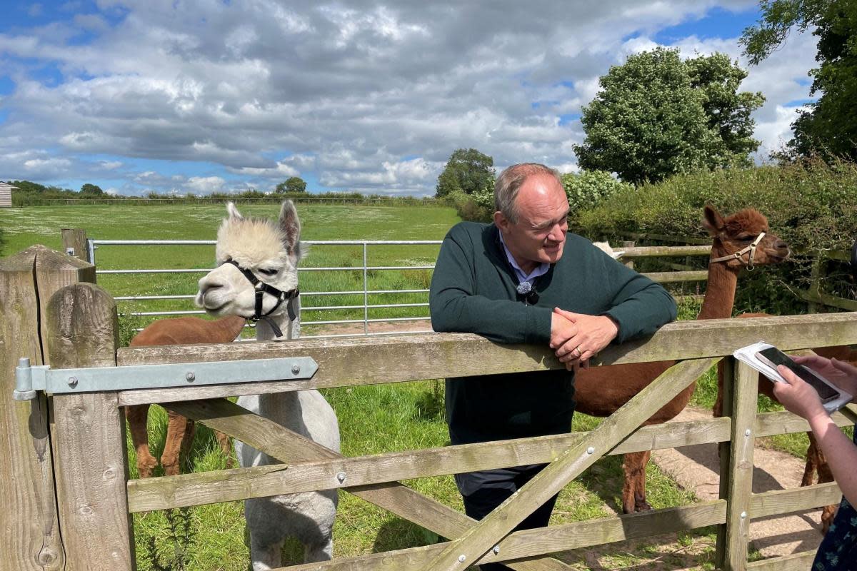 Liberal Democrat leader Sir Ed Davey speaking to the media after walking an alpaca named Pele at Clivewood Farm in North Shropshire, while on the General Election campaign trail. Picture date: Thursday June 27, 2024. PA Photo. See PA story POLITICS