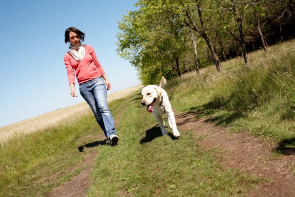 Photo of girl and labrador walking on the road