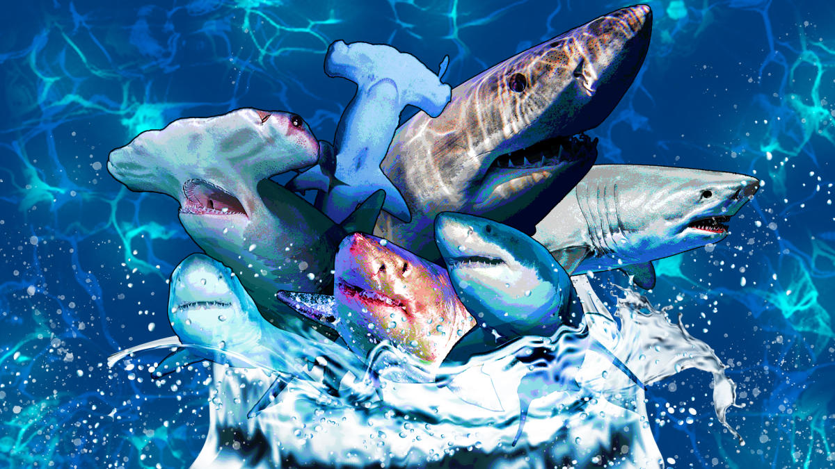 15 Of The Most Memorable Sharks In Video Games - We Love Sharks!