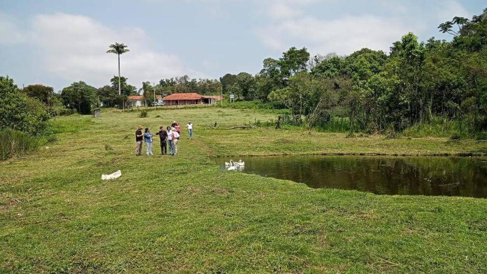 Área verde en Mogi das Cruzes 