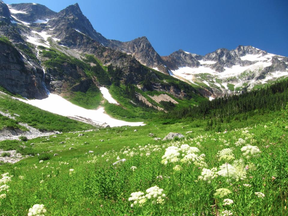 Summertime blooms blanket a North Fork meadow at North Cascades National Park.