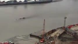 Two humps appear to break the surface of the Thames. Photo: YouTube