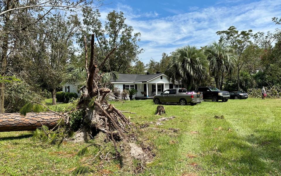 Jeremy Driver pays a visit to a friend's property in Mayo on Tuesday, Sept. 6, 2023, nearly a week after Hurricane Idalia made landfall. Driver stopped by to help move fallen trees to a nearby field.