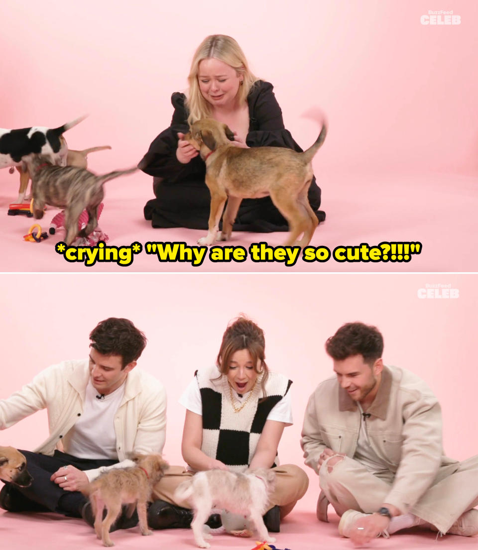 Nicola Coughlan crying while playing with puppies, while Luke Thompson, Claudia Jessie, and Luke Newton also play with dogs