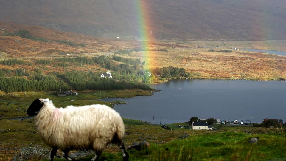 <p>But the gender pay gap in rural, island and remote areas has decreased over the last decade.</p>