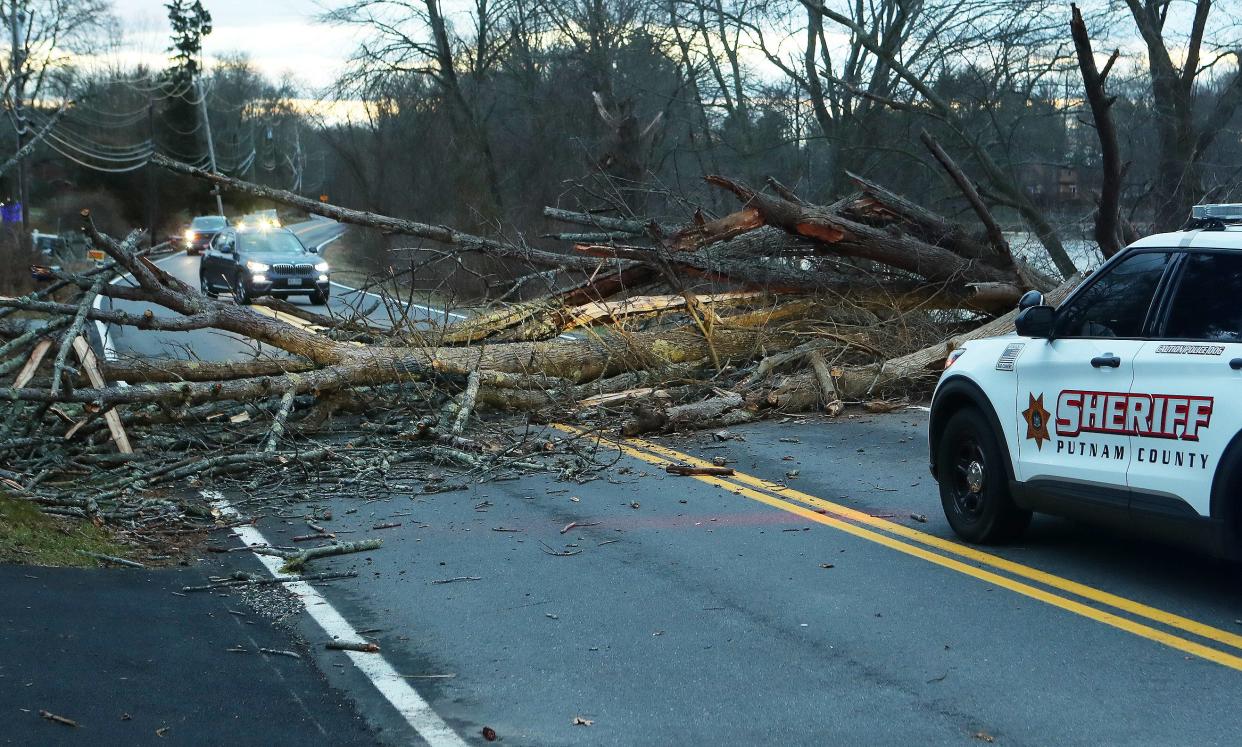 A Putnam County Sheriff deputy blocks Drewville Road in Brewster after a large tree came down blocking the entire road during high winds Jan. 13, 2024.