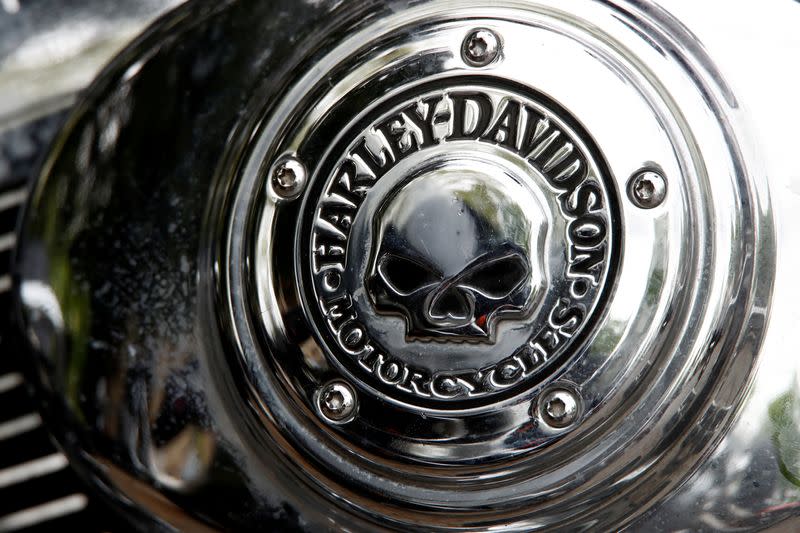 FILE PHOTO: A Harley Davidson logo with a skull is seen on a motorcycle during a funeral service for a "Hells Angels" member in Bonn