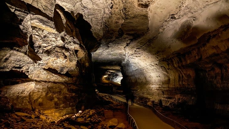 Mammoth Cave is the world's longest cave system, some 420 miles