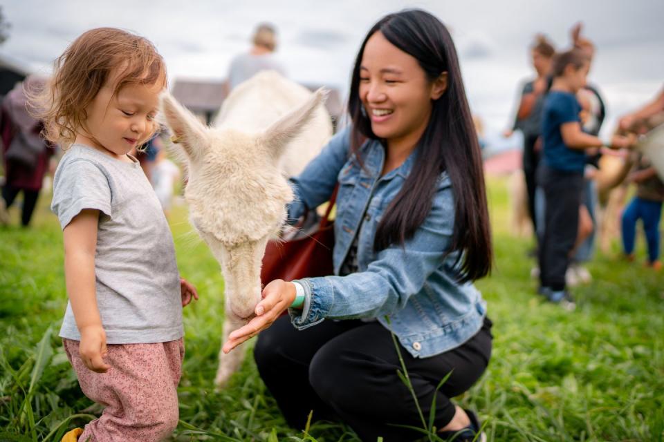 spring activities petting zoo