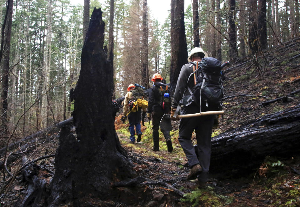 FILE - In this Feb. 1, 2018 file photo, trail crew workers hike the Pacific Crest Trail as it winds through the burn area of the Eagle Creek fire in the Columbia River Gorge near Portland, Ore. (Jamie Hale/The Oregonian via AP, file)