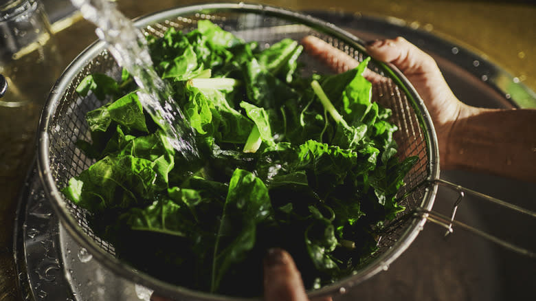 Person rinsing spinach in strainer