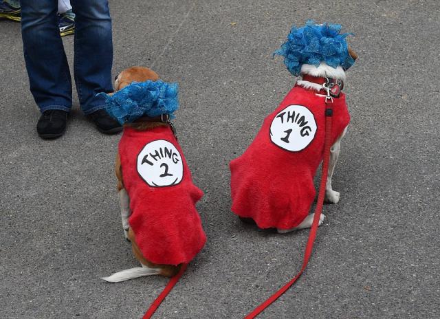 The 7 Most Adorable and Hilarious Dog Halloween Costumes You'll Ever See -  HelloGigglesHelloGiggles