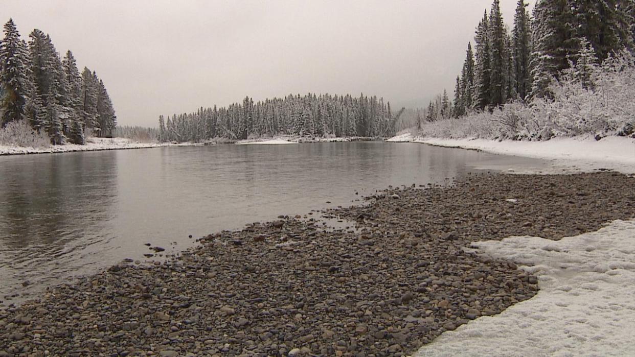 According to the province, there are currently 51 water shortage advisories in place across Alberta and a high risk that drought conditions could worsen this year. (CBC - image credit)