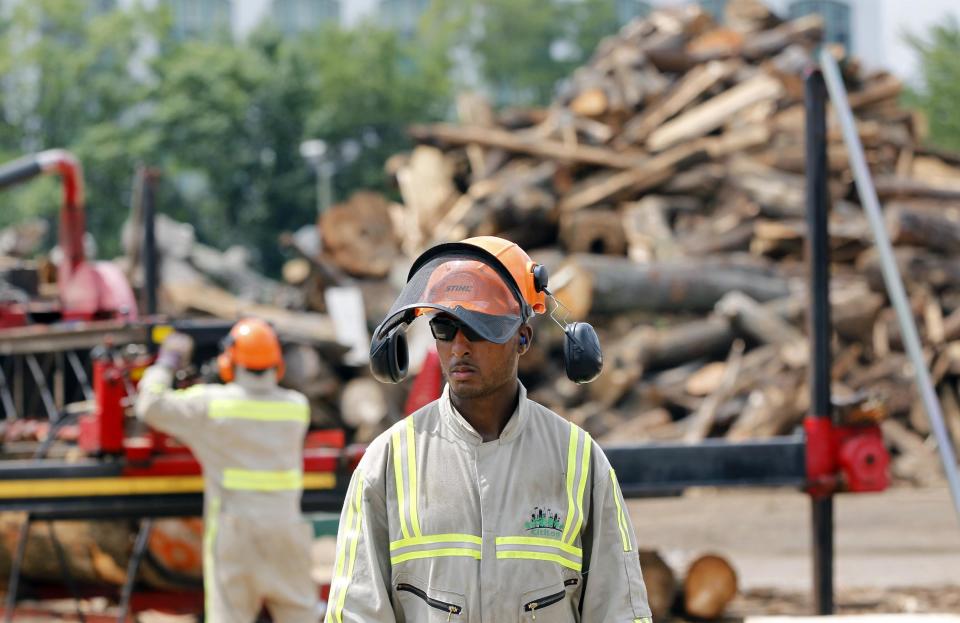 In this Wednesday, Aug. 15, 2012 photo, Andre Scott, right, wears protective gear as Gabriel DeJesus, both of Jersey City, N.J., uses a large saw to cut a discarded tree trunk into railroad ties at Citilog, in Newark, N.J. The Newark company takes unwanted trees from the so-called urban forest — parks, yards, streets and wherever else a tree might grow in a city — and turns them into furniture, flooring and other materials. (AP Photo/Mel Evans)