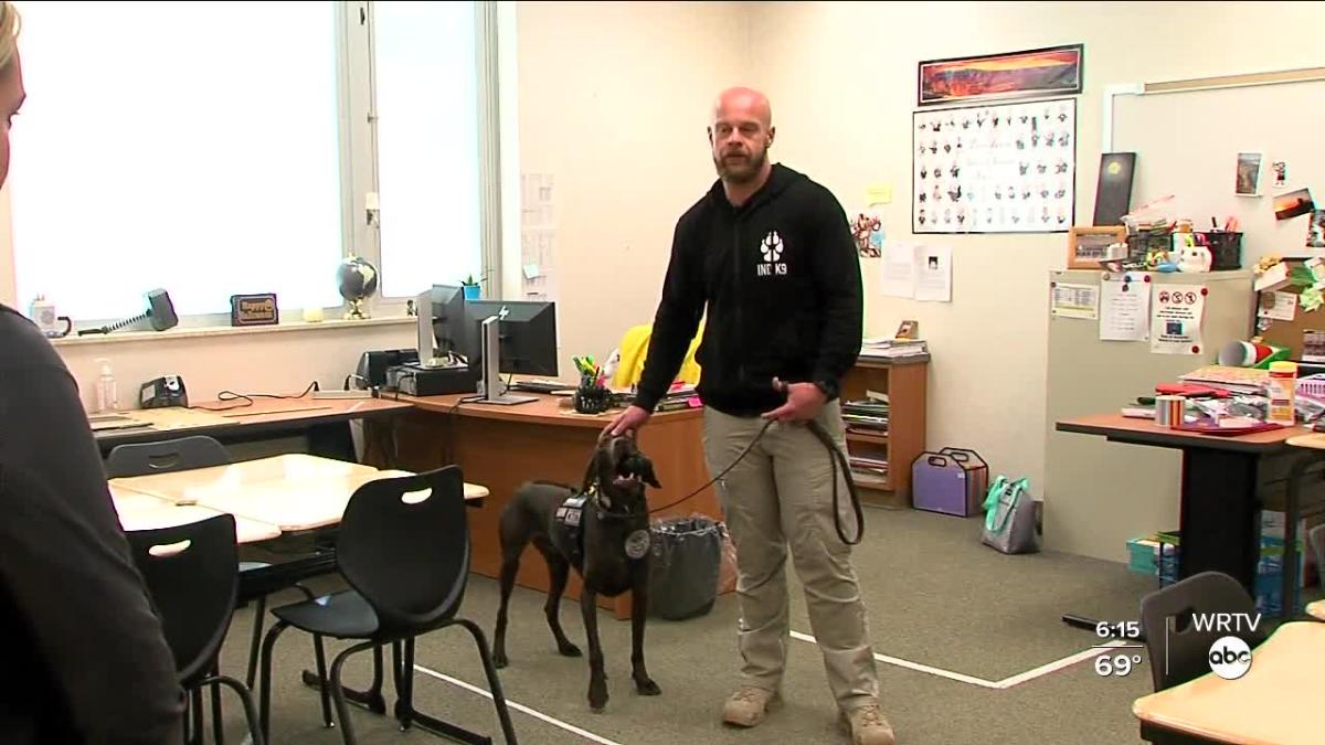 Behind The Scenes At Tsa Law Enforcement K 9 Training 