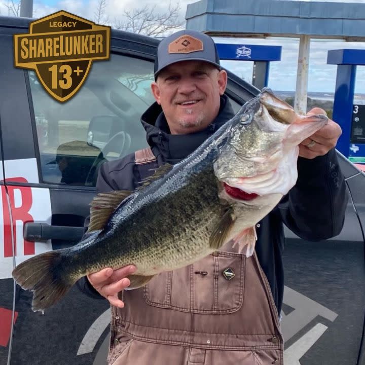 A 13.87 pound Legacy ShareLunker reeled in by angler Aaron Suess at O.H. Ivie on February 5, 2024. 