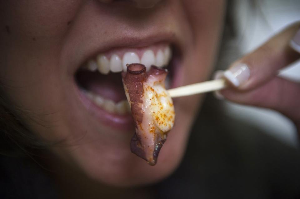 Nueva Pescanova’s 1,000-tank facility is projected to produce 3,000 tonnes of octopus meat each year (AFP /Getty)